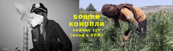 PSILOCYBIN Наволоки