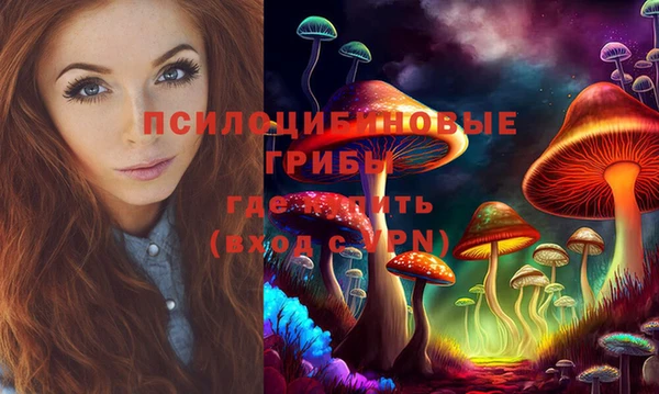 герыч Надым