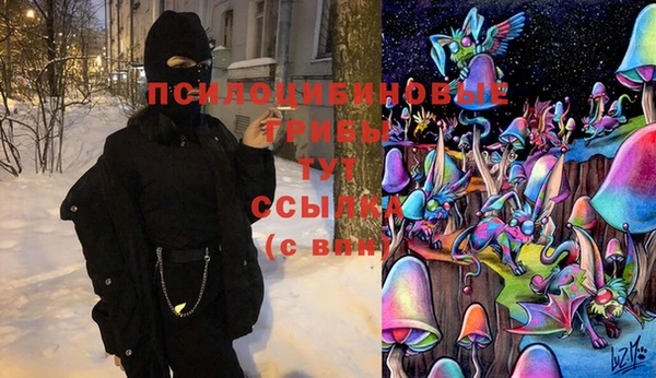 PSILOCYBIN Наволоки