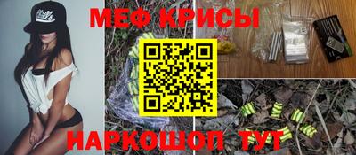 тгк Бийск