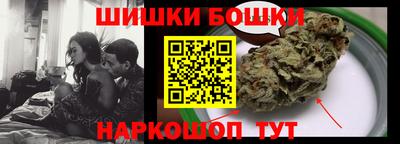 тгк Бийск