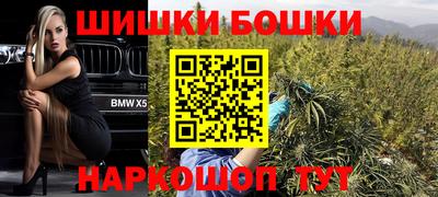 тгк Бийск