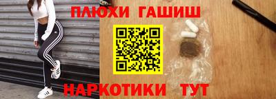 тгк Бийск