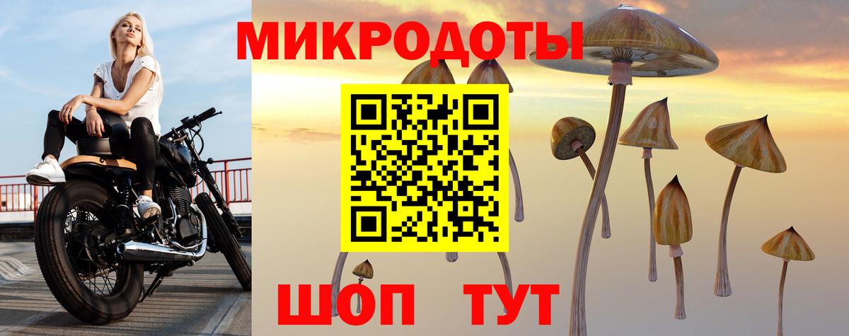 Красноуфимск  Псилоцибиновые грибы Psilocybine cubensis  Вход с VPN 