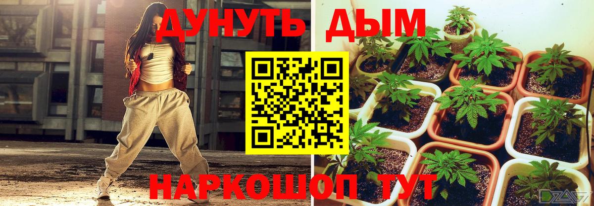 Марихуана конопля  Марихуана THC 21%  Конопля AK-47  Красноуфимск  Вход с VPN  Конопля MAZAR 